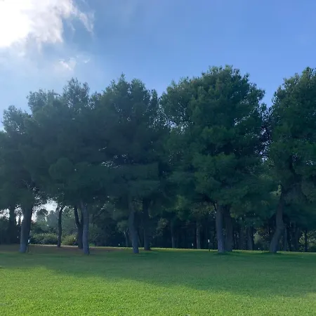 Tenuta Zustovich