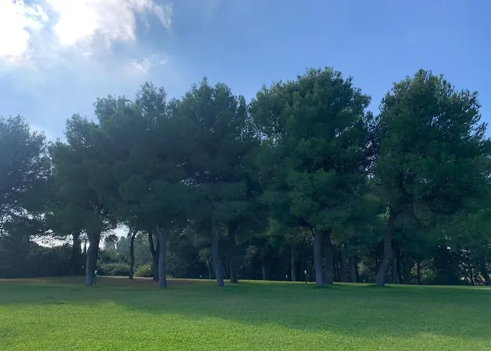 Tenuta Zustovich